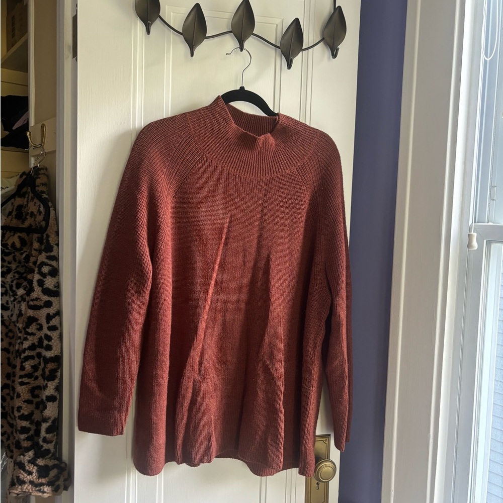 Eileen Fisher Raglan Sleeve Merino Wool Turtleneck Sweater